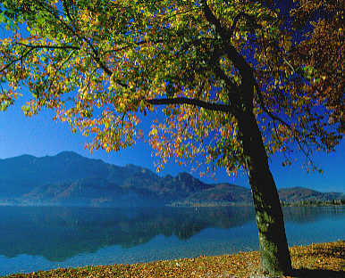 kochelsee_herbst_067_2005